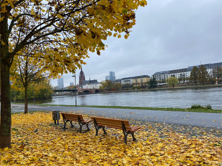 Frankfurt Expedition Mallorca Main Joggen 05 768x576