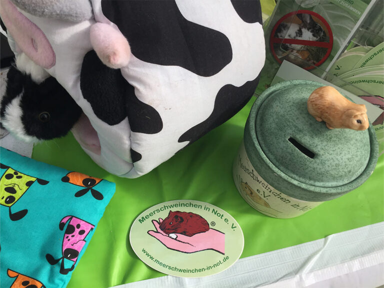 Frankfurt Expedition Mallorca Meerschweinchen in Not 03 768x576