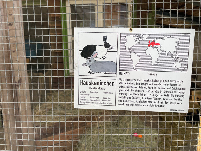 Frankfurt Expedition Mallorca Offenbacher Waldzoo 04 768x576