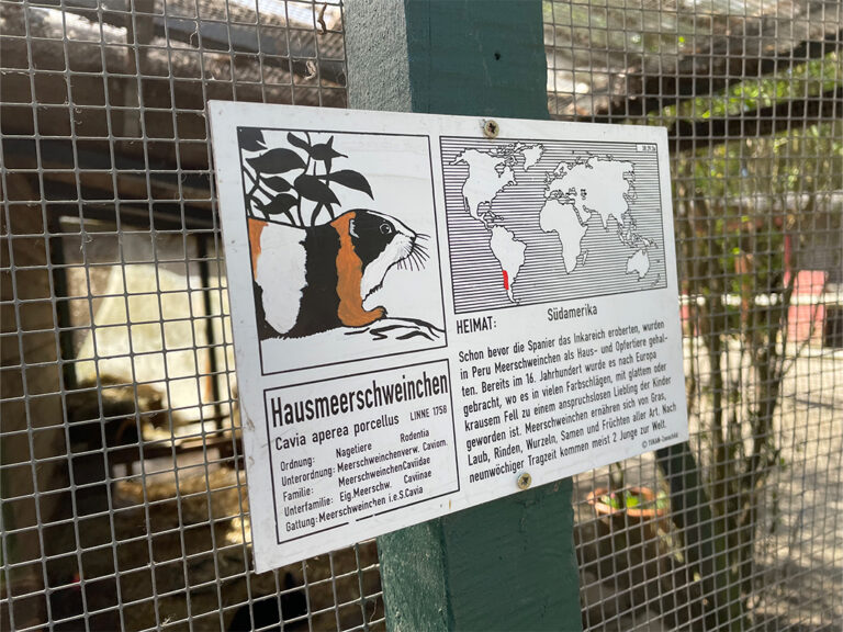 Frankfurt Expedition Mallorca Offenbacher Waldzoo 05 768x576