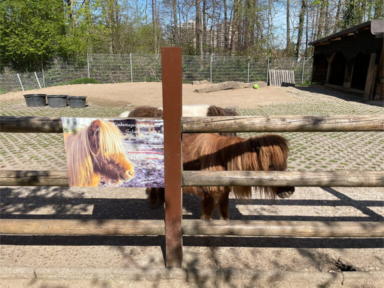 Frankfurt Expedition Mallorca Offenbacher Waldzoo 768x576