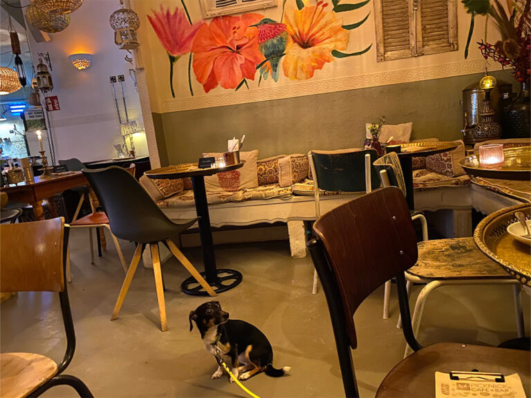 Frankfurt Expedition Mallorca Picknick Bornheim 768x576