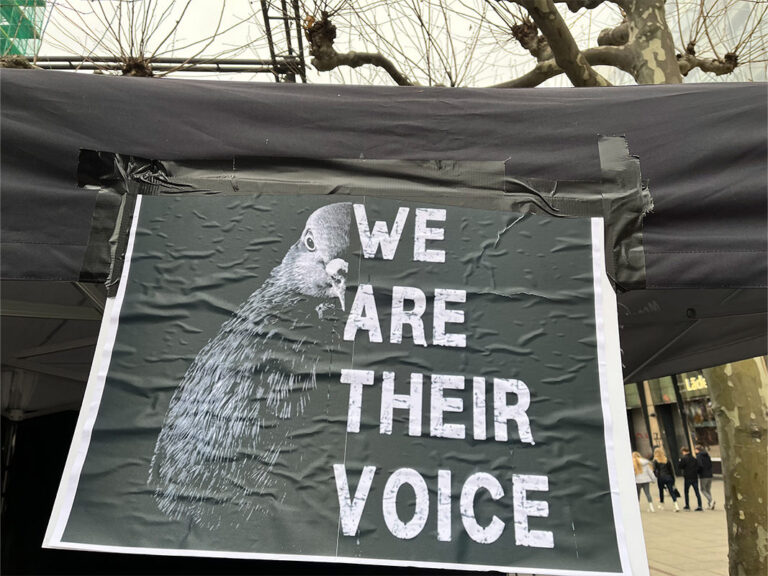 Frankfurt Main Expedition Mallorca Stadttaubenprojekt Frankfurt 02 768x576